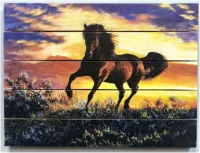 картина "мерин в поле" 30*40 см на дереве ж005, пэм